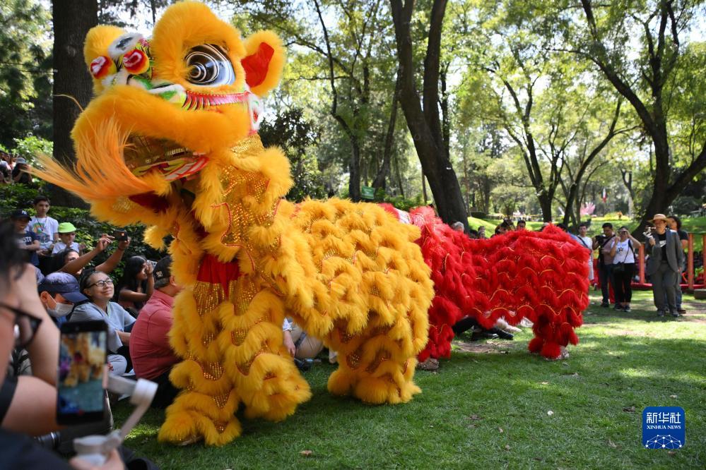 巴黎平台网站